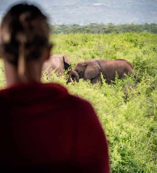 Rwanda safari